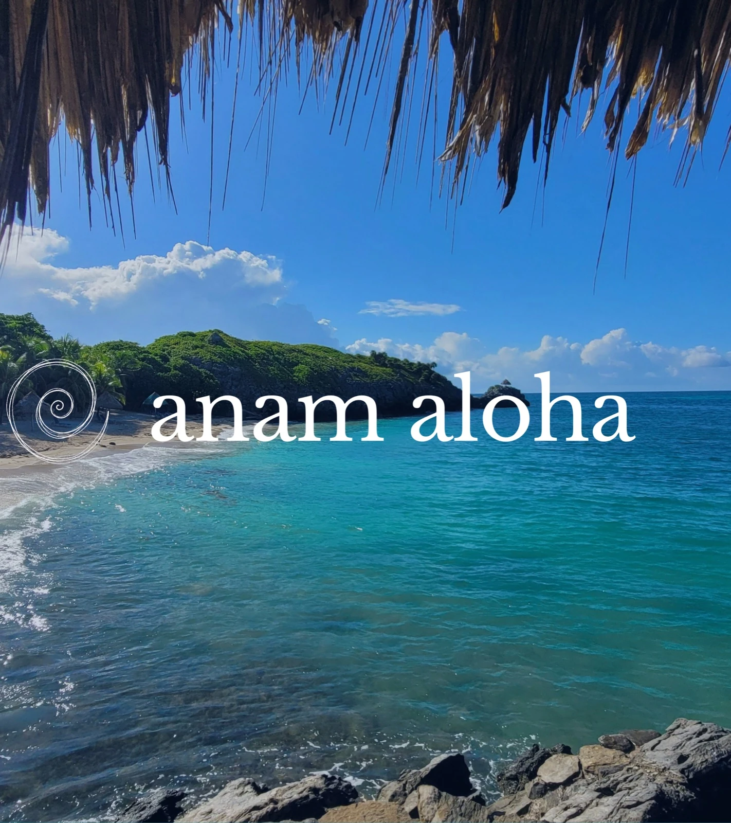 anam aloha wordmark over a Hawaiian beach cove