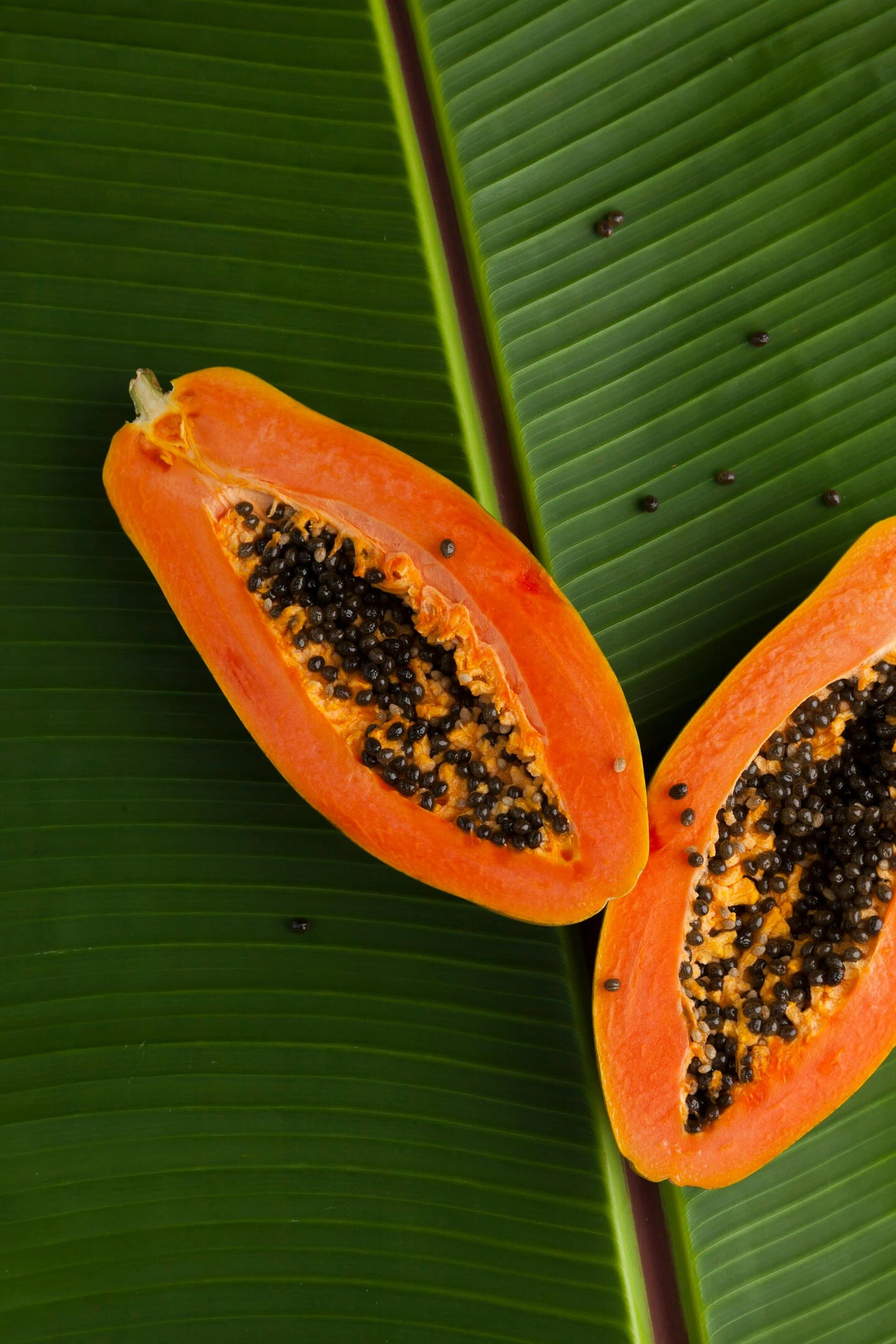 Papaya halves on a banana leaf, a recurring E Ho Mai motif