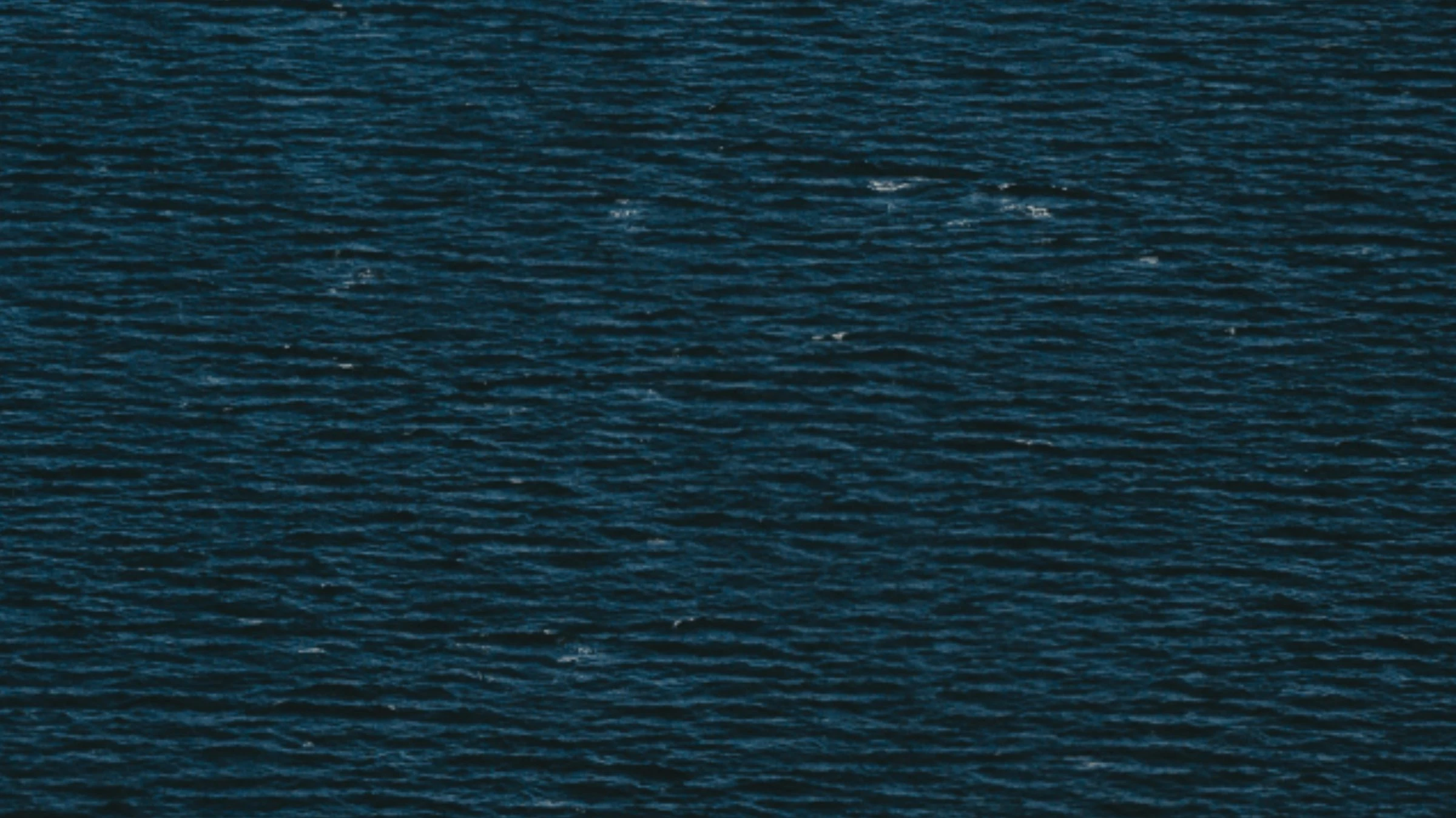 Preview of the symposium website